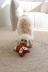 Beeztees DBL Köpek Oyuncağı, Sesli, Tilki, Peluş, Turuncu, 25,5cm - 4