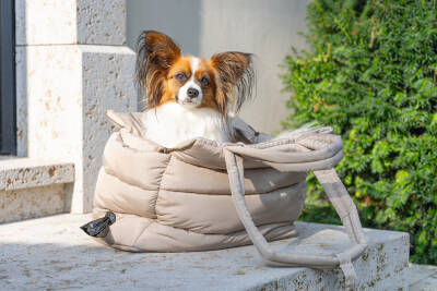 Beeztees DBL Köpek Taşıma Çantası, Yıkanabilir, 6,5Kg'ye kadar, Bej, 42x20x35cm - 4