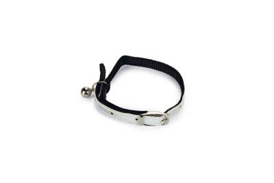 Beeztees Kedi Boyun Tasması, Fosforlu Beyaz, 20-29cm - 1