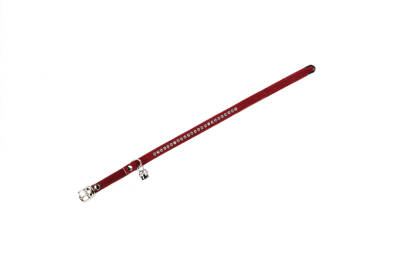 Beeztees Kedi Boyun Tasması, Swarovski Taşlı, Kırmızı, 24,5-30cm - 2
