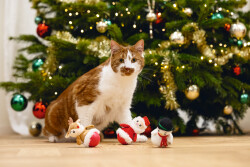 Beeztees Kedi Oyuncağı, Hacıyatmaz, Peluş Oyuncaklı, Çeşitli Renklerde 10x7x7cm - 2
