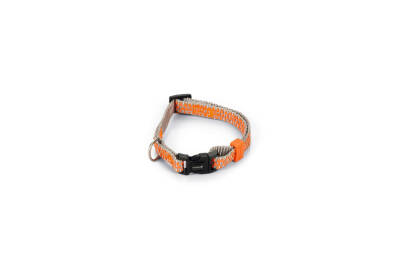 Beeztees Köpek Boyun Tasması, Açık Gri Turuncu, 20-30cm - 1