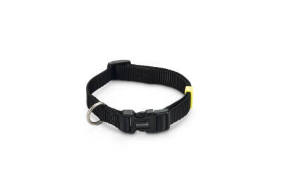 Beeztees Köpek Boyun Tasması, Siyah, 26-40cm, 15mm - 1