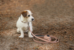Beeztees Köpek Dışkı Toplama Poşeti Taşıma Çantası, Pudra Pembe, 8x5x5cm - 3