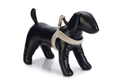 Beeztees Köpek Göğüs Tasması, Neopren, Mavi, S, 38-44cm - 1