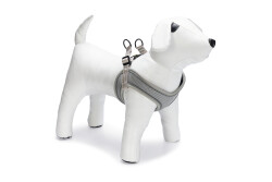 Beeztees Köpek Göğüs Tasması, Neopren, Yeşil, S, 38-44cm - 2