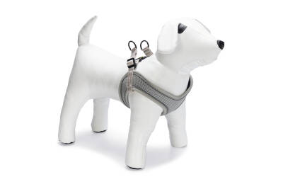 Beeztees Köpek Göğüs Tasması, Neopren, Yeşil, S, 38-44cm - 2