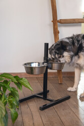 Beeztees Köpek İkili Mama Su Kabı, Ayaklı, Paslamaz Çelik, 25cm, 2x2,5L - 4