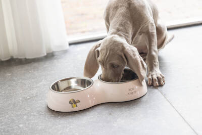 Beeztees Köpek Mama Su Kabı, Paslanmaz Çelik, Pudra Pembe, 18cm, 350ml - 2