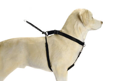 Beeztees Köpek Yürüyüş Eğitim ve Düzeltme Tasması, M - 2
