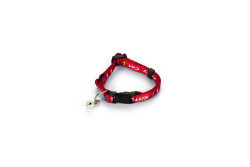 Beeztees Yavru Kedi Boyun Tasması, Zilli, Kırmızı, 17,5-23cm - 1