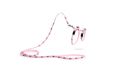 Beeztees Yavru Kedi Göğüs Tasması ve Gezdirme Kayışı, 120cm, Pembe, 15-33cm - 1