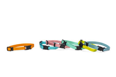 Beeztees Yavru Köpek Boyun Tasması, Çeşitli Renklerde, 17-25cm, 10mm - 2