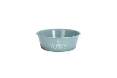 Beeztees Yavru Köpek Mama Su Kabı, Paslanmaz Çelik, Kaymaz Taban, Turkuaz, 13cm, 470ml - 1