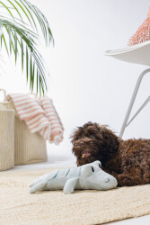 Beeztees Yavru Köpek Oyuncağı, Krokodil, Peluş, Yeşil, 32x18x8cm - 3