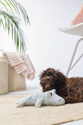 Beeztees Yavru Köpek Oyuncağı, Krokodil, Peluş, Yeşil, 32x18x8cm - 3