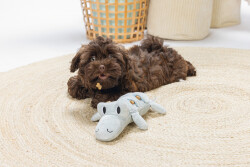 Beeztees Yavru Köpek Oyuncağı, Krokodil, Peluş, Yeşil, 32x18x8cm - 4