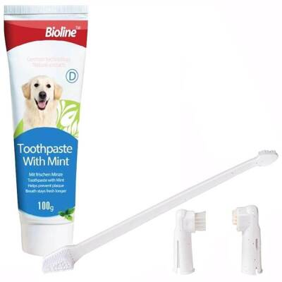 Bioline Nane Aromalı Köpek Ağız Bakım Seti 100 Gr - 2