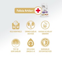 Felicia Light Somonlu Düşük Tahıllı Kısırlaştırılmış Kedi Maması 2 kg - 3