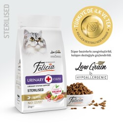 Felicia Light Somonlu Düşük Tahıllı Kısırlaştırılmış Kedi Maması 2 kg - 2