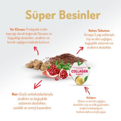 Felicia Light Somonlu Düşük Tahıllı Kısırlaştırılmış Kedi Maması 2 kg - 4