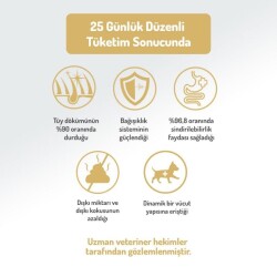 Felicia Mini Somonlu Düşük Tahıllı Hipoalerjenik Köpek Maması 3 kg - 5