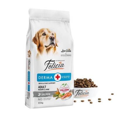 Felicia Somon Balıklı Düşük Tahıllı Hipoalerjenik Yetişkin Köpek Maması 15 kg - 1