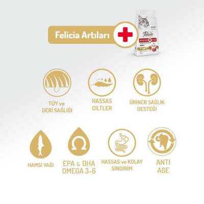 Felicia Yetişkin Kuzu Etli Az Tahıllı HypoAllergenic Kedi Maması 2 kg - 3