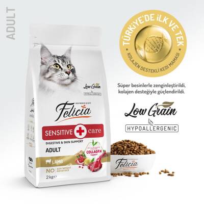 Felicia Kuzu Etli Az Tahıllı HypoAllergenic Yetişkin Kedi Maması 2 kg - 2