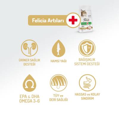 Felicia Yetişkin Tavuklu Az Tahıllı HypoAllergenic Kedi Maması 2 kg - 3