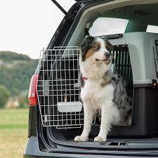 Ferplast Atlas 60 Köpek Taşıma Sepeti 91 X 61 X 66,5 cm - 1