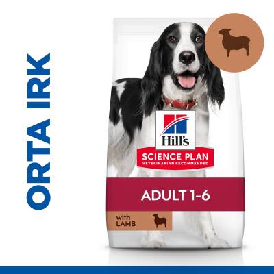 Hill's SCIENCE PLAN Yetişkin Orta Irk Kuzulu ve Pirinçli Köpek Maması 12 kg + 2 kg - 1