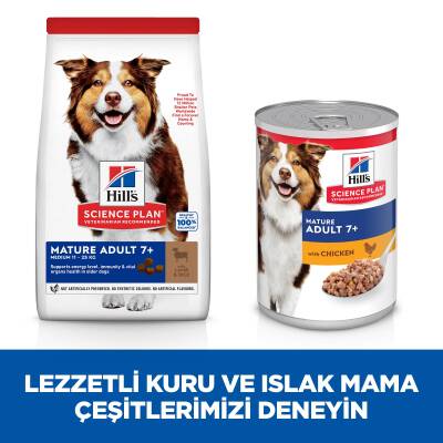 Hill's SCIENCE PLAN Light +7 Yaşlı Orta Irk Kuzulu ve Pirinçli Köpek Maması 12 kg + 2 kg - 3