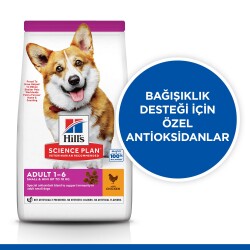 Hill's SCIENCE PLAN Tavuklu Küçük ve Mini Irk Yetişkin Köpek Maması 3 kg - 2