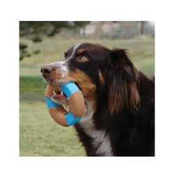 Kong Core Strength Halka Şeklinde Köpek Oyuncağı S - 3