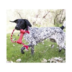 Kong Goodie Bone Kemik Şeklinde İp Sallantılı Çok Amaçlı Köpek Oyuncağı XS - 3