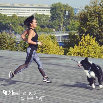 Lishinu Beyaz Bunge Akıllı Köpek Gezdirme Tasması L 13-40 kg - 3