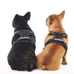 M-Pets Hıkıng Reflektörlü Soft Köpek Göğüs Tasması Turuncu M - 4