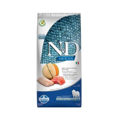 N&D Ocean Somon ve Morina Balıklı Kavunlu Giant Maxi Yetişkin Köpek Maması 12 kg - 1