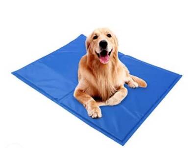 Pawise Serinletici Mat L 90 x 50 Cm - 2
