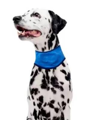 Pawise Soğutucu Köpek Bandanası M 38-46 Cm - 2