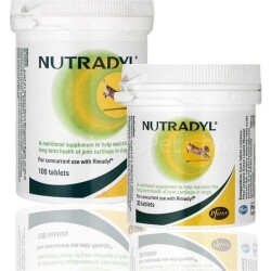 Pfizer Zoetis Nutradyl Köpek Eklem Kıkırdağı Sorunları İçin 100 Tablet - Zoetis