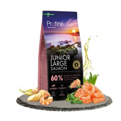 Profine Glutensiz Somonlu Büyük Irk Yavru Köpek Maması 12 Kg - 1