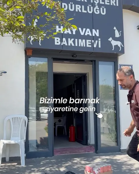 Dünya Köpek Günü barınak ziyareti