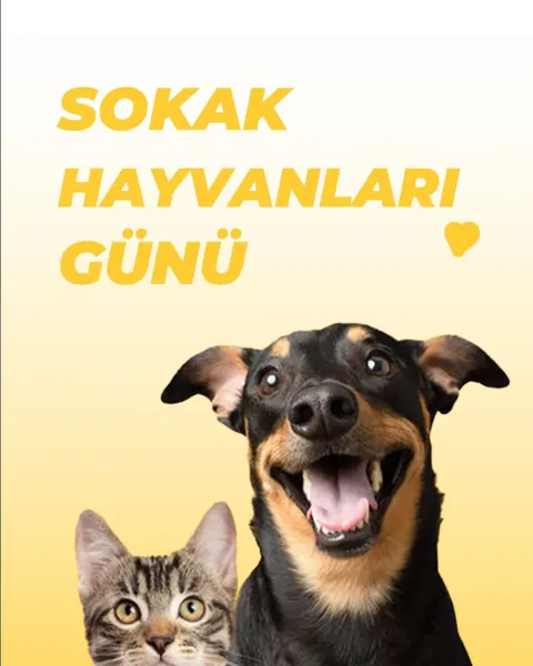 4 Nisan Sokak Dostları Günü