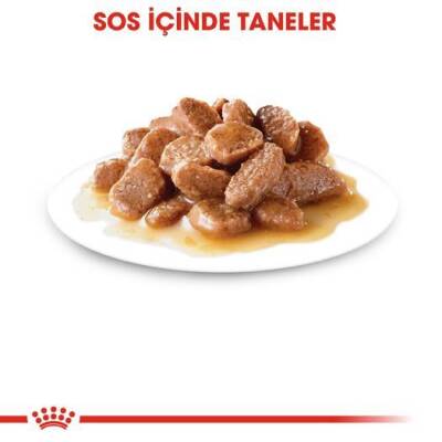 Royal Canin Ageing + 12 Yaş Kedi Konservesi 85 gr - 4