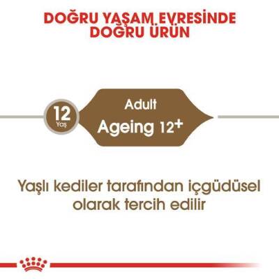 Royal Canin Ageing + 12 Pouch Yaşlı Kedi Konservesi 85 gr - 2