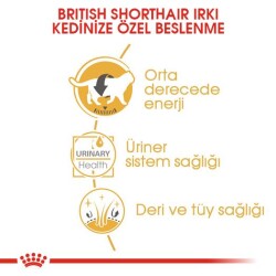 Royal Canin British Shorthair Adult Pouch Yetişkin Kedi Konservesi 85 gr - 4