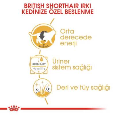 Royal Canin British Shorthair Adult Pouch Yetişkin Kedi Konservesi 85 gr - 4