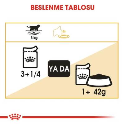 Royal Canin British Shorthair Adult Pouch Yetişkin Kedi Konservesi 85 gr - 5